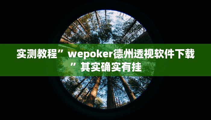 实测教程”wepoker德州透视软件下载”其实确实有挂