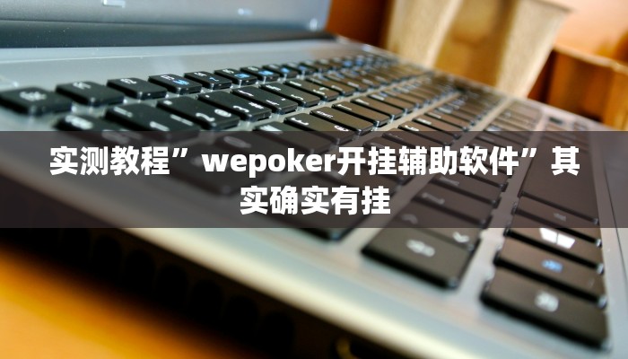 实测教程”wepoker开挂辅助软件”其实确实有挂