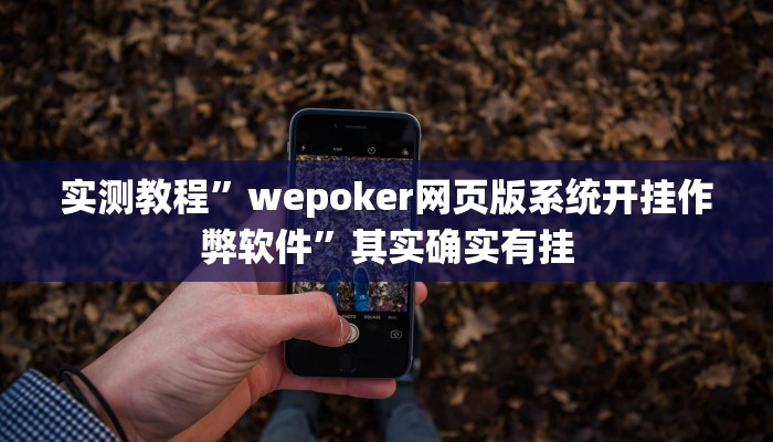 实测教程”wepoker网页版系统开挂作弊软件”其实确实有挂