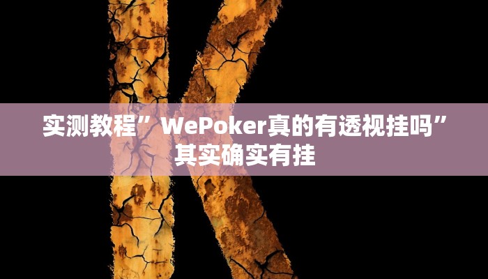 实测教程”WePoker真的有透视挂吗”其实确实有挂