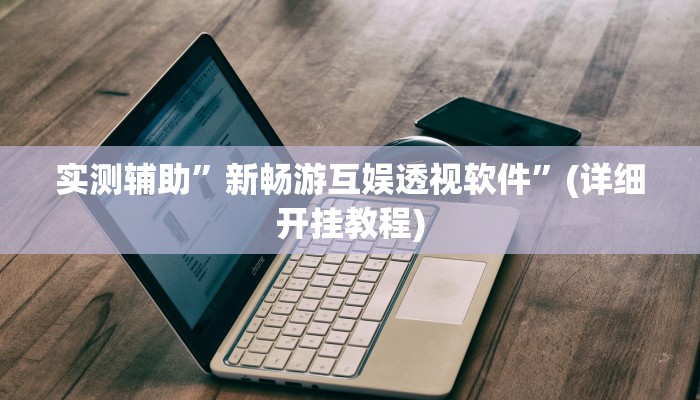 实测辅助”新畅游互娱透视软件”(详细开挂教程)