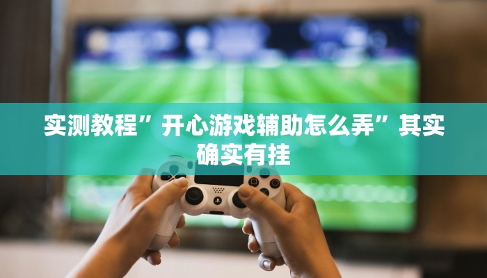 实测教程”开心游戏辅助怎么弄”其实确实有挂