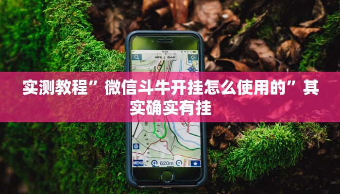 实测教程”微信斗牛开挂怎么使用的”其实确实有挂