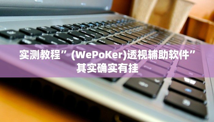 实测教程”(WePoKer)透视辅助软件”其实确实有挂