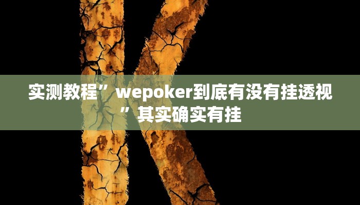 实测教程”wepoker到底有没有挂透视”其实确实有挂