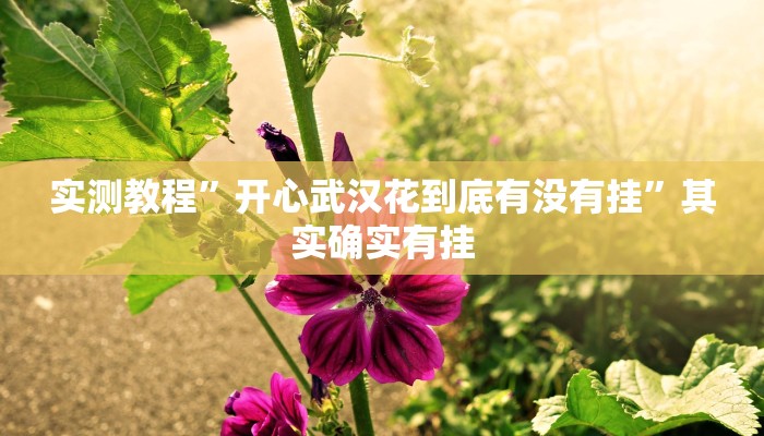 实测教程”wepoker俱乐部挂怎么安装”其实确实有挂