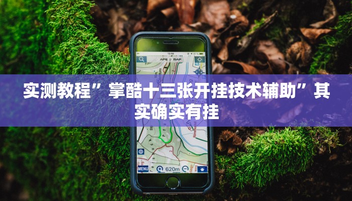 实测教程”掌酷十三张开挂技术辅助”其实确实有挂