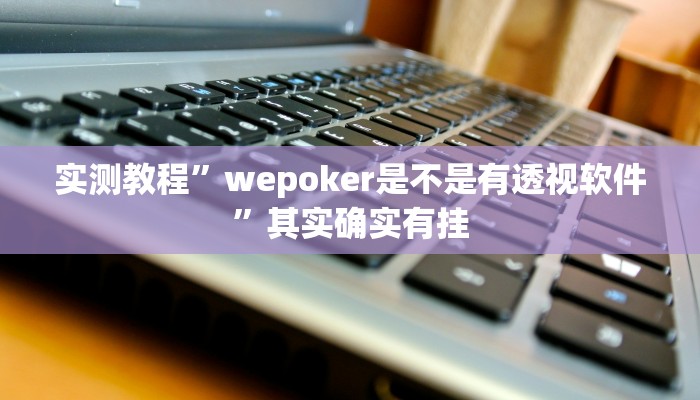 实测教程”wepoker是不是有透视软件”其实确实有挂