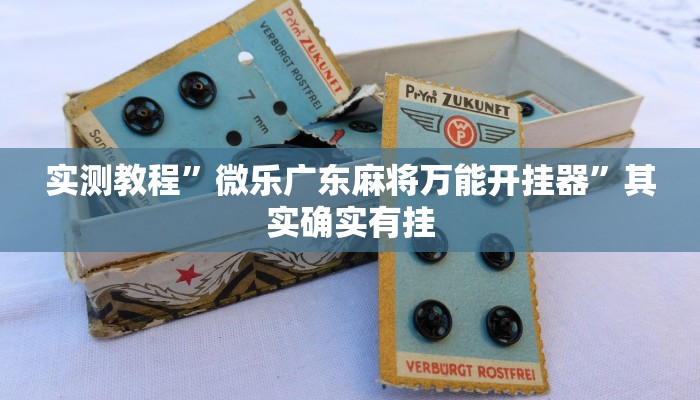 实测教程”微乐广东麻将万能开挂器”其实确实有挂