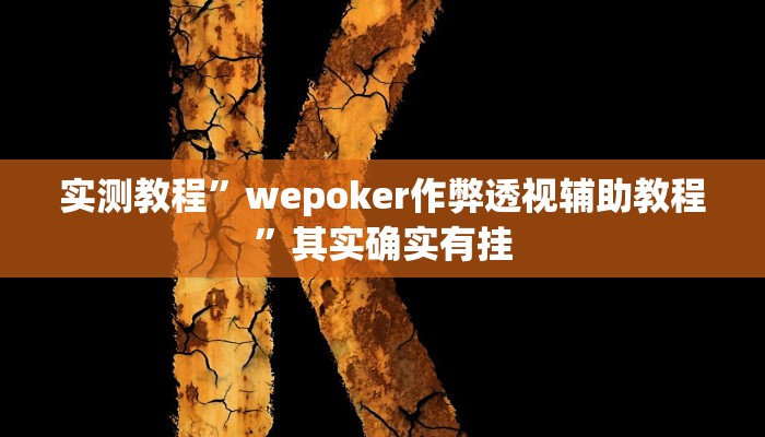 实测教程”wepoker作弊透视辅助教程”其实确实有挂