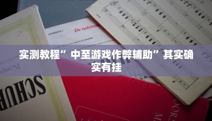 实测教程”中至游戏作弊辅助”其实确实有挂