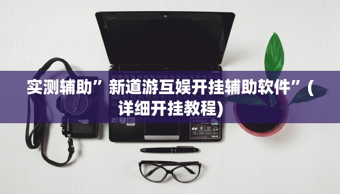 实测辅助”新道游互娱开挂辅助软件”(详细开挂教程)