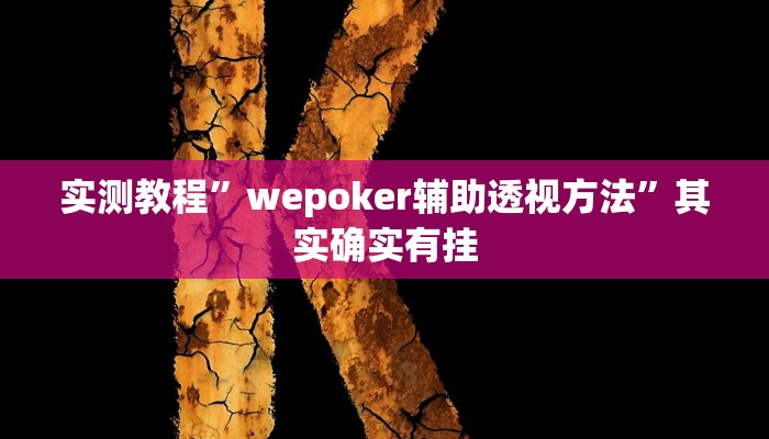 实测教程”wepoker辅助透视方法”其实确实有挂
