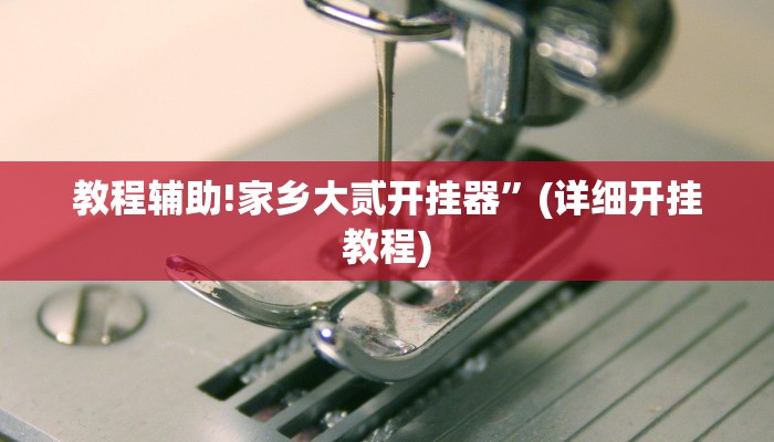 教程辅助!家乡大贰开挂器”(详细开挂教程)