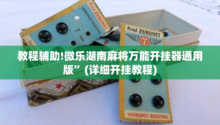教程辅助!微乐湖南麻将万能开挂器通用版”(详细开挂教程)