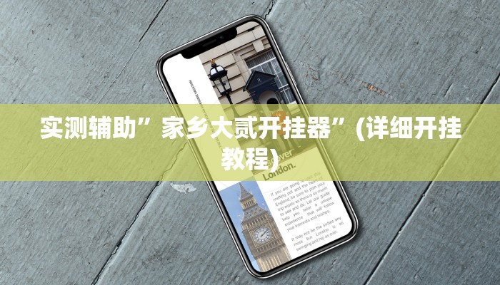 实测辅助”家乡大贰开挂器”(详细开挂教程)