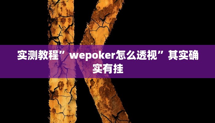实测教程”wepoker怎么透视”其实确实有挂