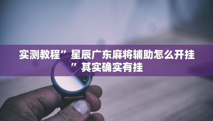 实测教程”星辰广东麻将辅助怎么开挂”其实确实有挂