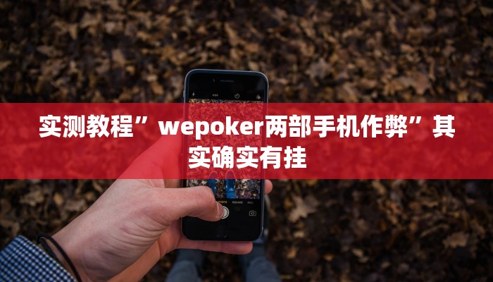 实测教程”微乐斗地主记牌器”其实确实有挂