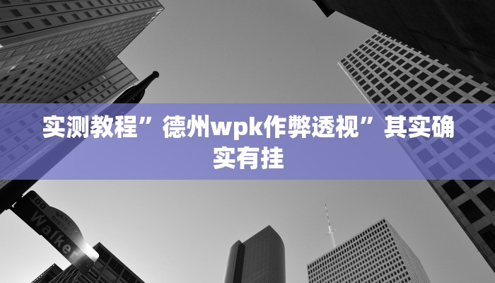 实测教程”德州wpk作弊透视”其实确实有挂