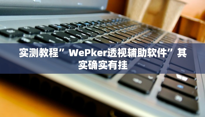 实测教程”WePker透视辅助软件”其实确实有挂