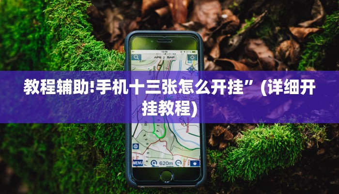 教程辅助!手机十三张怎么开挂”(详细开挂教程)