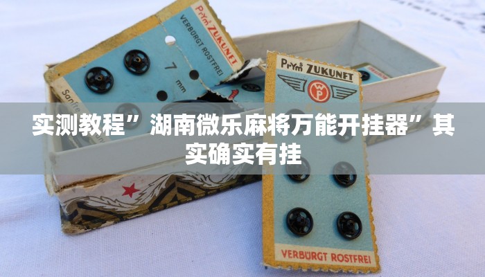 实测教程”湖南微乐麻将万能开挂器”其实确实有挂