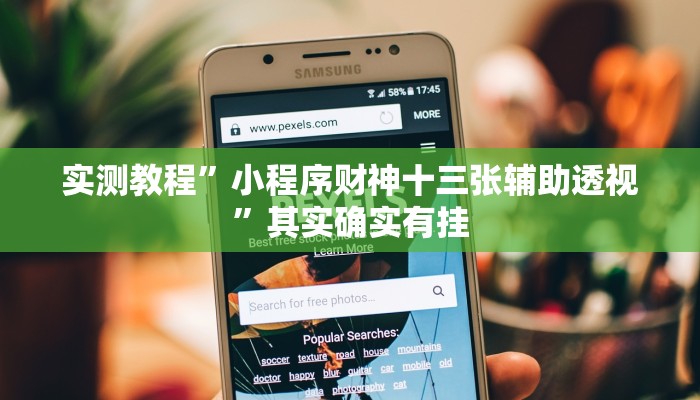 实测教程”小程序财神十三张辅助透视”其实确实有挂