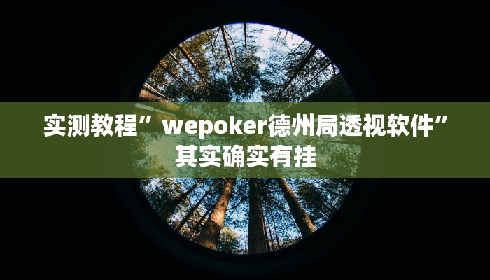 实测教程”GGpoker透视挂真的假的”其实确实有挂