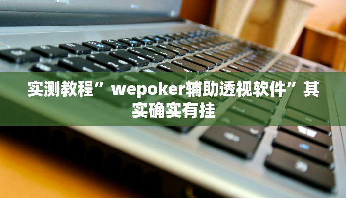 实测教程”wepoker辅助透视软件”其实确实有挂