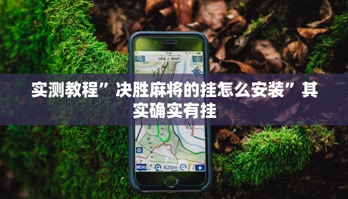 实测教程”决胜麻将的挂怎么安装”其实确实有挂