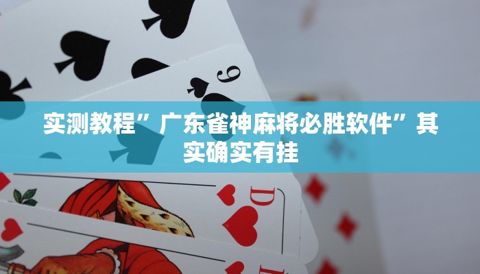 实测教程”HHpoker有作弊软件吗”其实确实有挂