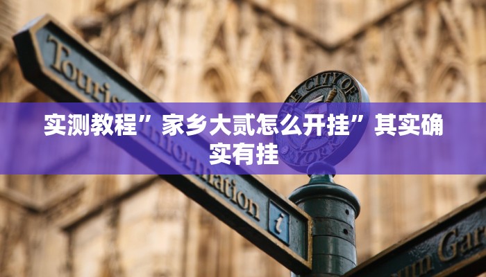 实测教程”家乡大贰怎么开挂”其实确实有挂