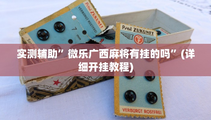 教程辅助!wepokerplus辅助挂方法”(详细开挂教程)