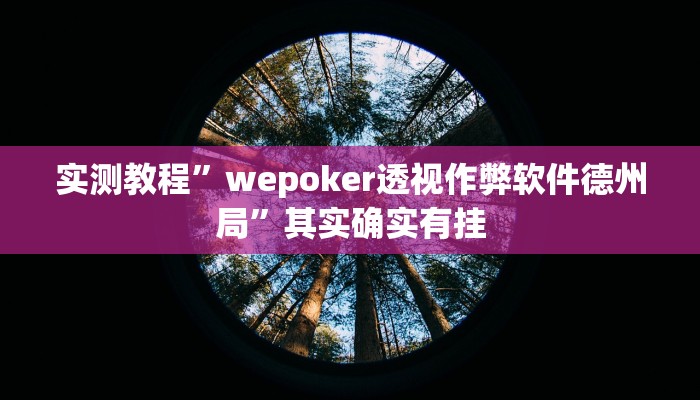 实测教程”wepoker透视作弊软件德州局”其实确实有挂