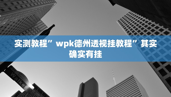 教程辅助!德扑圈透视挂辅助软件”(详细开挂教程)