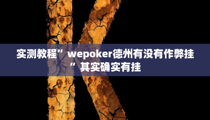 实测教程”WePoker辅助透视软件挂”其实确实有挂