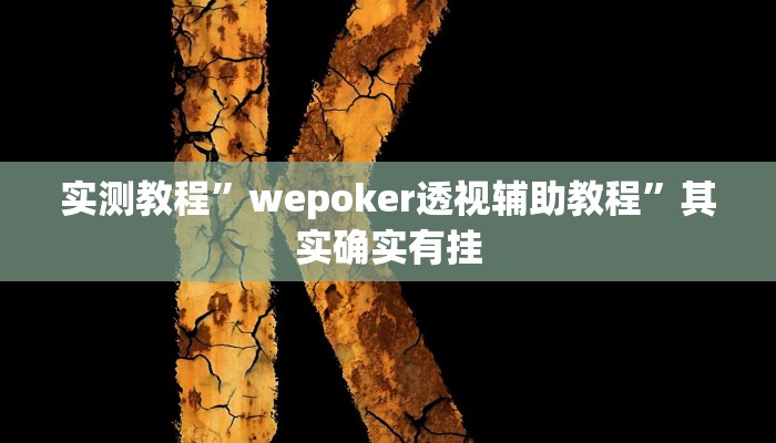 实测教程”wepoker透视辅助教程”其实确实有挂