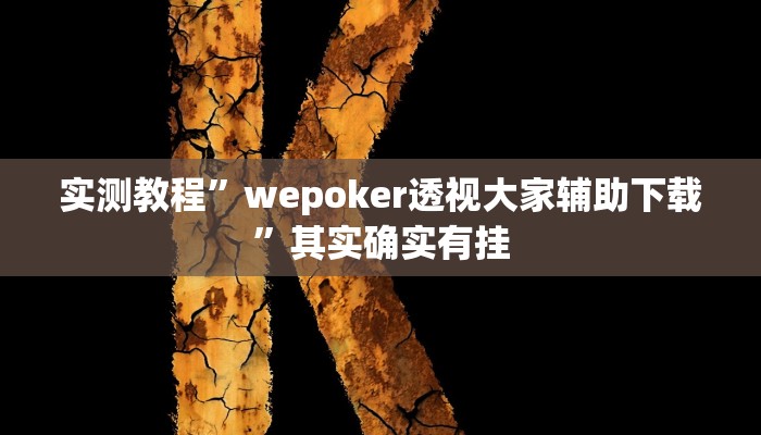 实测教程”wepoker透视大家辅助下载”其实确实有挂