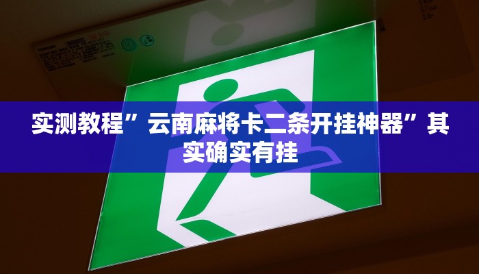 实测教程”WePoker德州局透视挂作弊方法”其实确实有挂