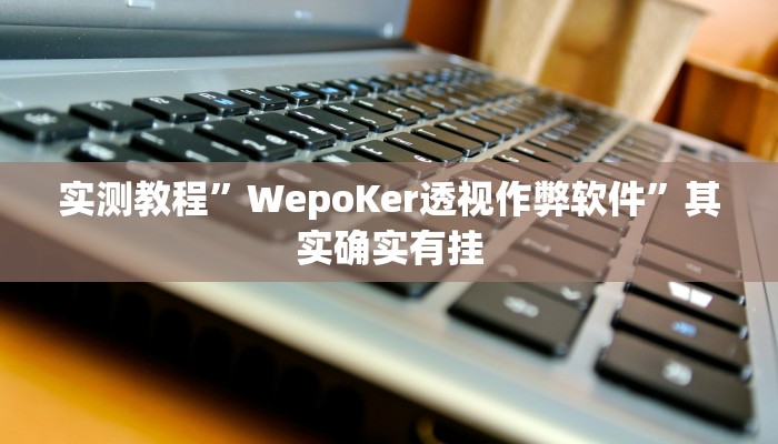 实测教程”aapoker透视”其实确实有挂