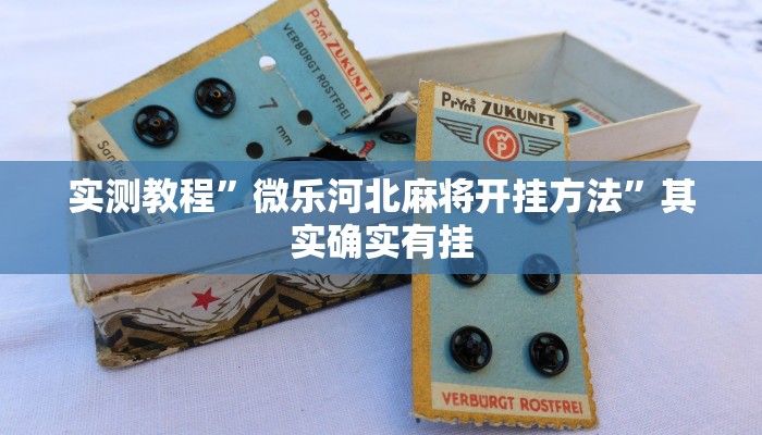 实测教程”微乐河北麻将开挂方法”其实确实有挂