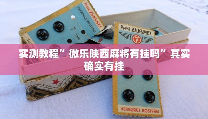 实测教程”微乐陕西麻将有挂吗”其实确实有挂