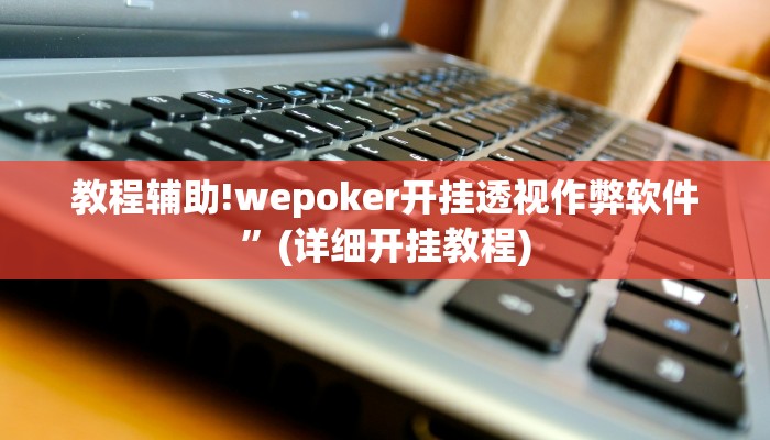 教程辅助!wepoker开挂透视作弊软件”(详细开挂教程)