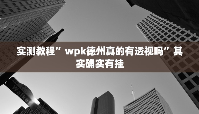 实测教程”wpk德州真的有透视吗”其实确实有挂
