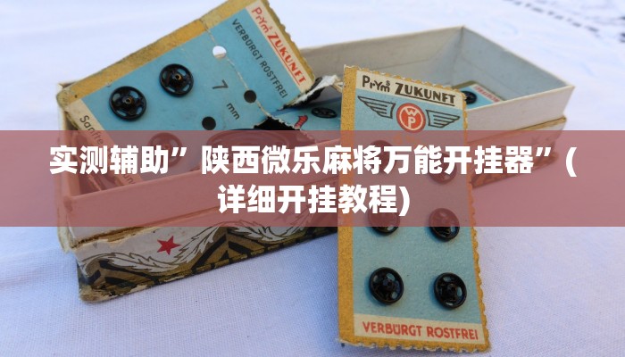 实测辅助”陕西微乐麻将万能开挂器”(详细开挂教程)