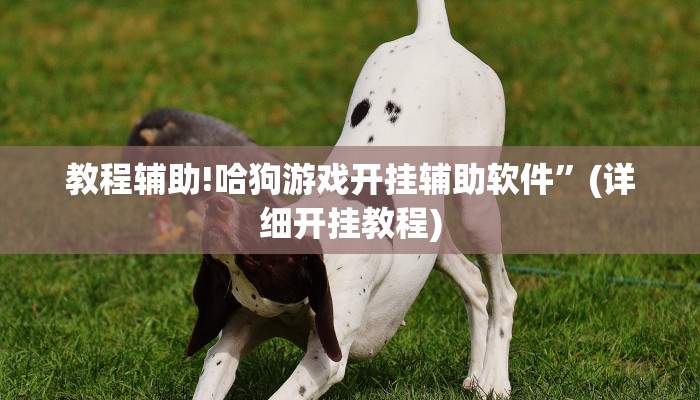 教程辅助!哈狗游戏开挂辅助软件”(详细开挂教程)