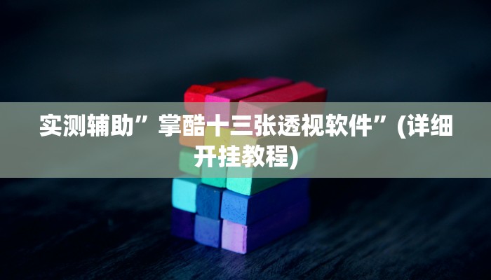 实测辅助”掌酷十三张透视软件”(详细开挂教程)
