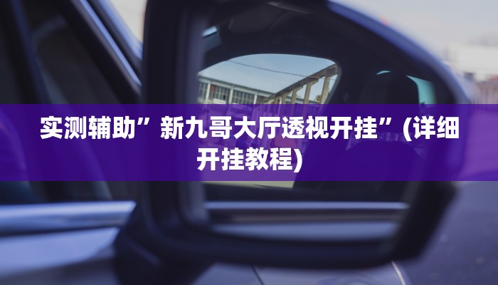 实测辅助”新九哥大厅透视开挂”(详细开挂教程)