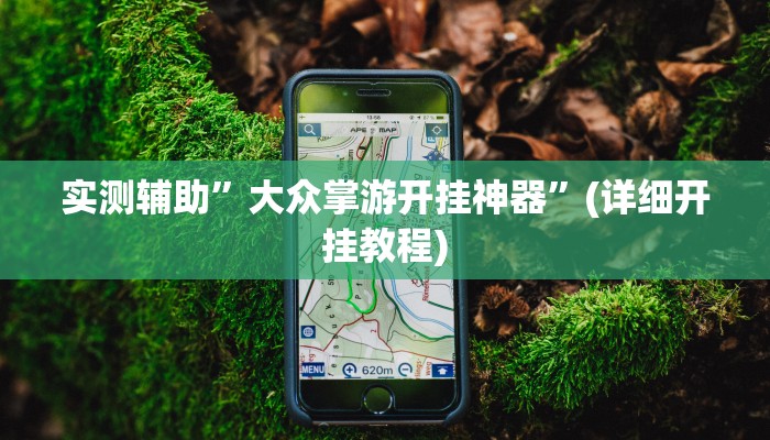 实测辅助”大众掌游开挂神器”(详细开挂教程)